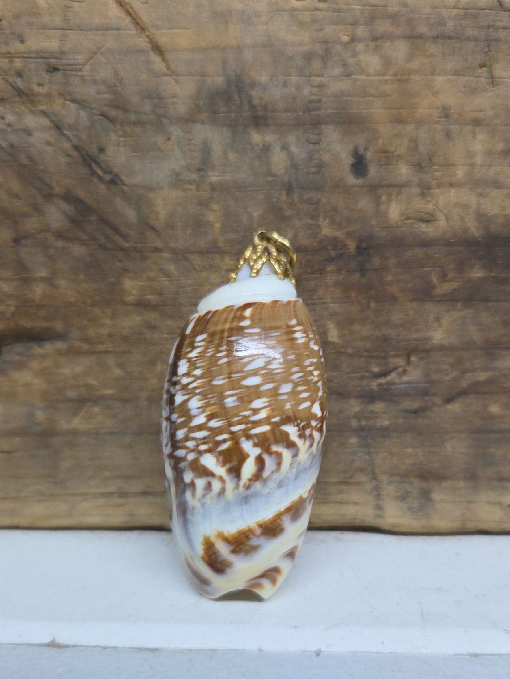 Brown & White Seashell Pendant with Gold Bail